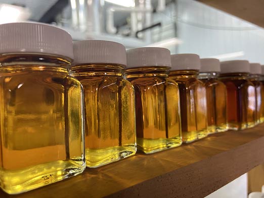 Photo of maple syrup bottles with white caps